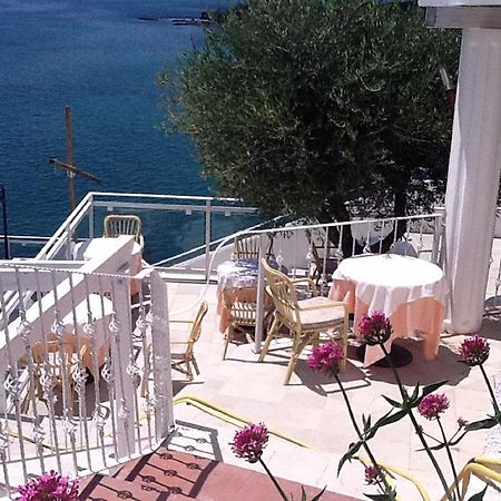 Villa Scapone Mattinata Dış mekan fotoğraf
