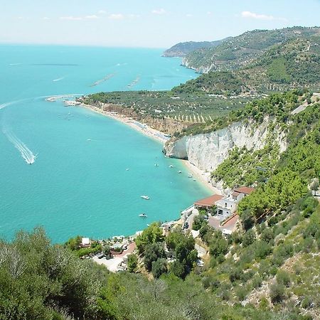 Villa Scapone Mattinata Dış mekan fotoğraf